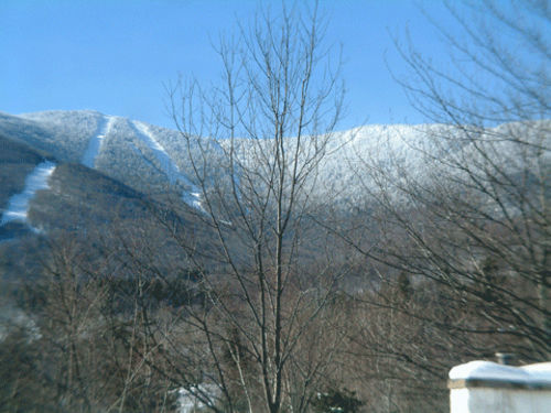 Sugartree Inn Warren Экстерьер фото